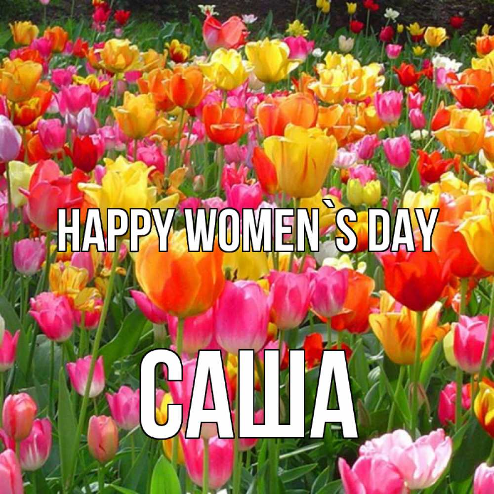 Greetings card с именем, Саша happy women`s day на международный женский день Greetings with text for free download 